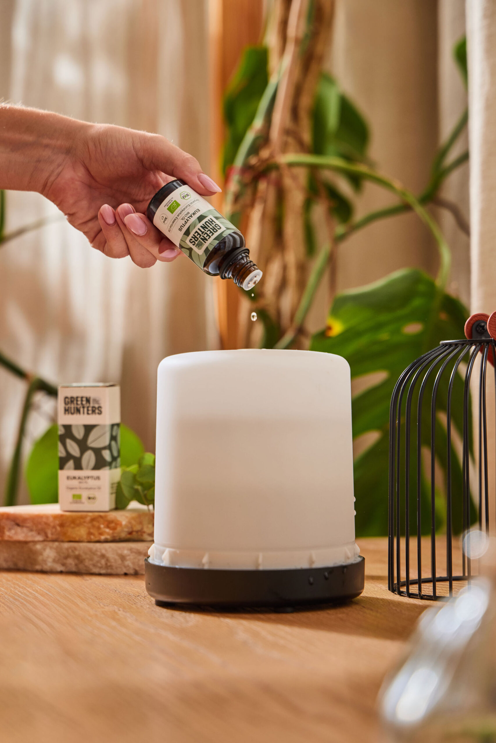 Organic Eucalyptus Essential Oil - Image 2