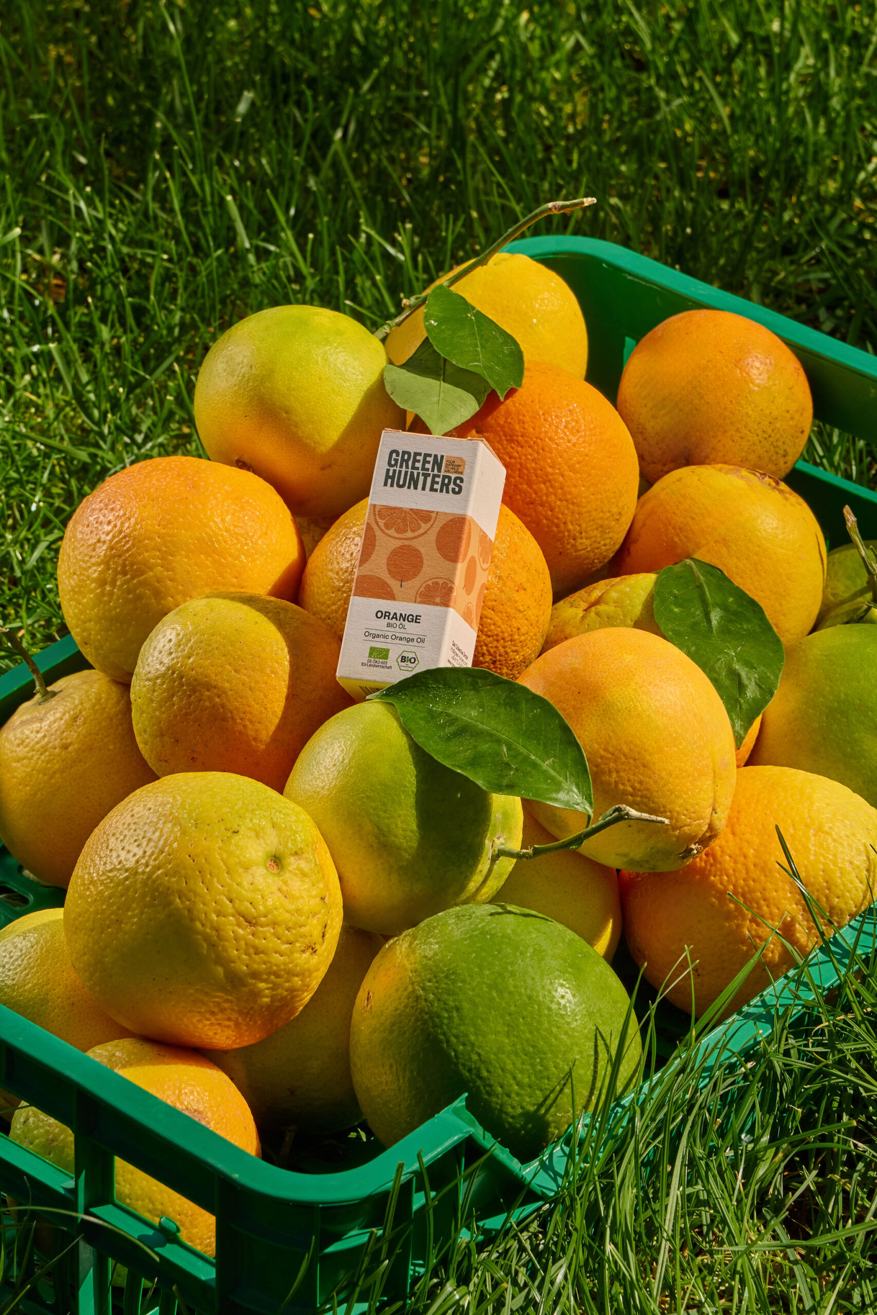 Bio-Orangenöl – Bild 2